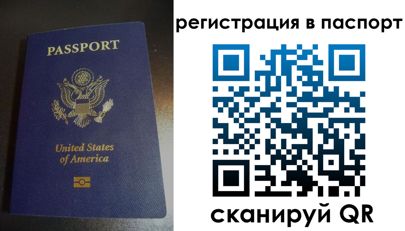 прописка для школы в Кувшиново